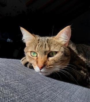 Yuki Bild von Yuki