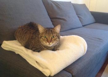 Yuki Bild von Yuki