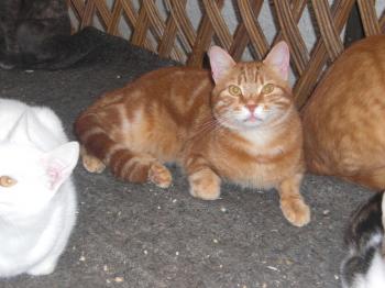Mingy Bild von Mingy