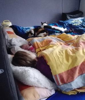 Piu Bild von Piu
