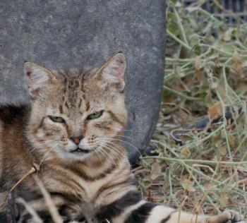 Tino Bild von Tino