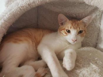 Tico Bild von Tico