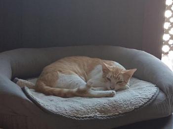 Tico Bild von Tico