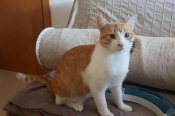 Tico Bild von Tico