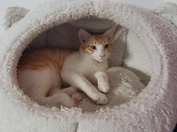 Tico Bild von Tico