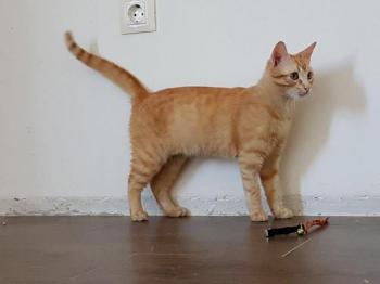 Bild von Pitu