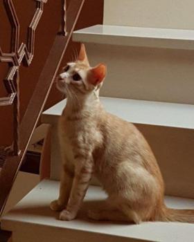 Bild von Pitu