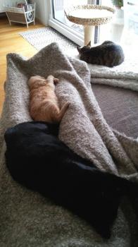 Mabelle Bild von Mabelle