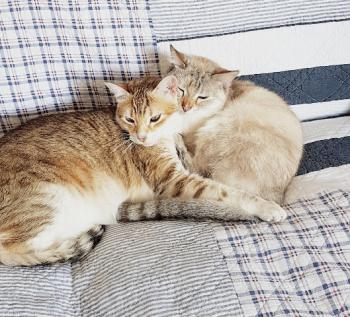Bibi Bild von Bibi