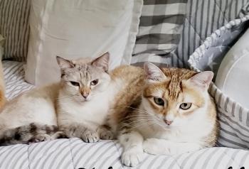 Bibi Bild von Bibi