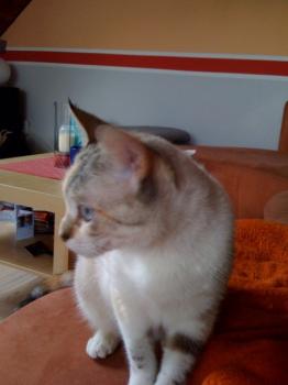 Suki Bild von Suki