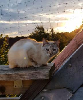 Bibi Bild von Bibi