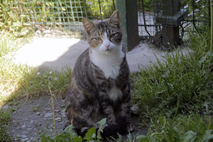 Georgina Bild von Georgina