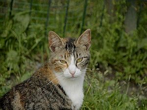 Georgina Bild von Georgina