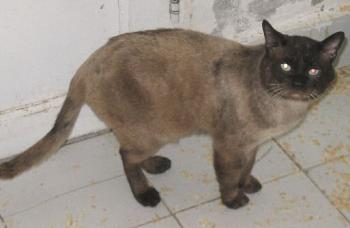 Norry Bild von Norry