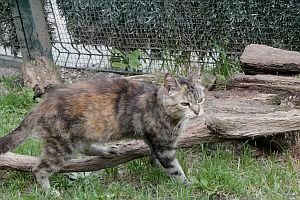 Fame Bild von Fame