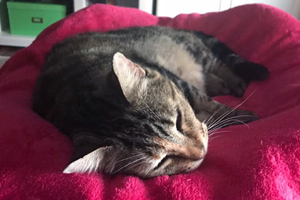 Fiona Bild von Fiona