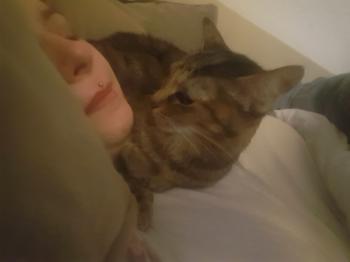 Anjie Bild von Anjie