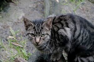 Rimel Bild von Rimel