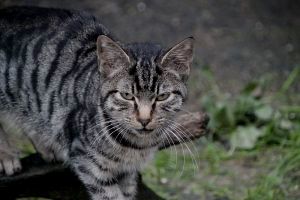 Rimel Bild von Rimel