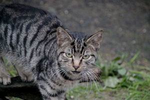 Rimel Bild von Rimel