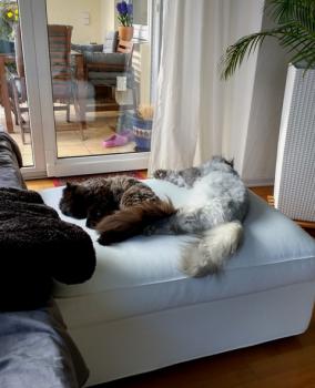Abi Bild von Abi
