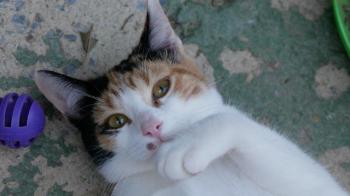 Neele Bild von Neele