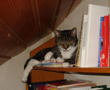 Fabius Bild von Fabius