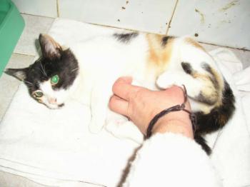 Bild von Mina