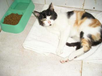 Bild von Mina