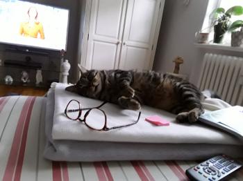 Bild von Starbuck