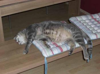 Debi Bild von Deborah