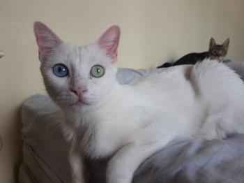Yaiza Bild von Yaiza