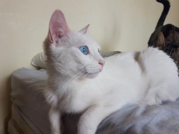Yaiza Bild von Yaiza