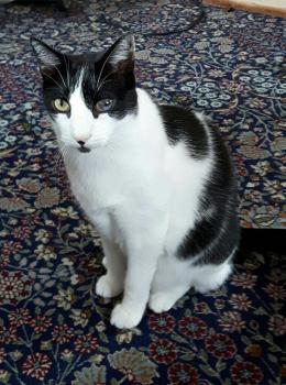 Pablo Bild von Pablo