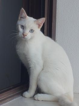 Bild von Sunny