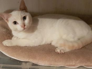 Bild von Sunny