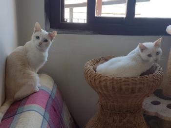 Bild von Sunny