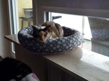 Daisy Bild von Daisy