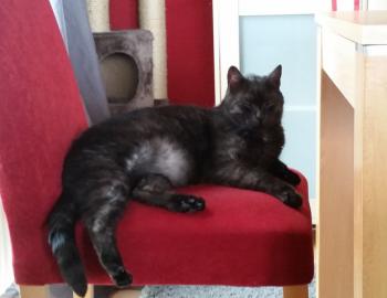 Franzi Bild von Franzi