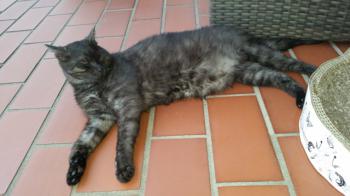 Franzi Bild von Franzi