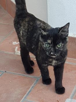 Bild von Piruleta