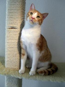 Toni Bild von Dahab