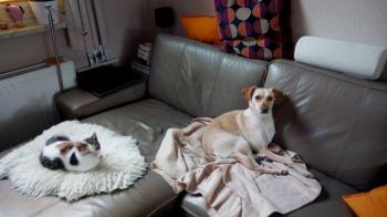 Narru Bild von Narru