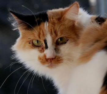 Michelle Bild von Michelle