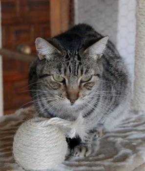 Rafi Bild von Rafi