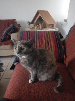 Grey Bild von Grey