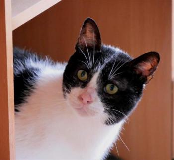 Derek Bild von Derek
