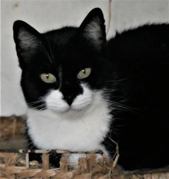 Lara Bild von Lara