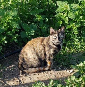 Bild von Tabita